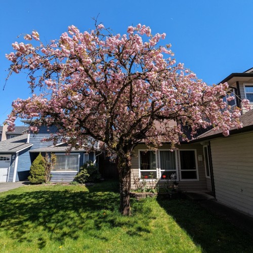 Photo 29 at 9674 155a Street, Guildford, North Surrey Photo 29 at 9674 155a Street, Guildford, North Surrey