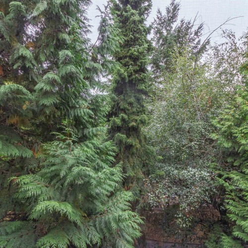 Photo 22 at 89 - 12778 66 Avenue, West Newton, Surrey Photo 22 at 89 - 12778 66 Avenue, West Newton, Surrey