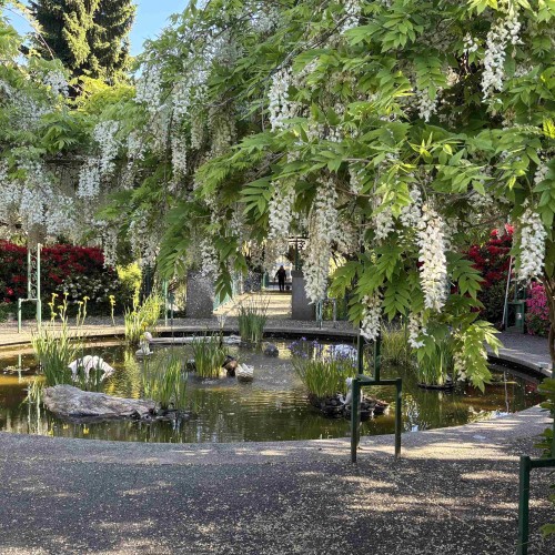 Photo 31 at 210 - 13860 70 Avenue, East Newton, Surrey Photo 31 at 210 - 13860 70 Avenue, East Newton, Surrey