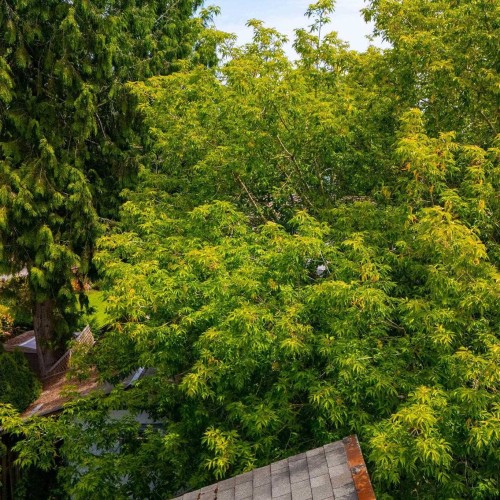 Photo 13 at 7092 129a Street, West Newton, Surrey Photo 13 at 7092 129a Street, West Newton, Surrey