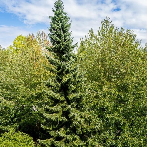 Photo 19 at 306 - 12083 92a Avenue, Queen Mary Park Surrey, Surrey Photo 19 at 306 - 12083 92a Avenue, Queen Mary Park Surrey, Surrey