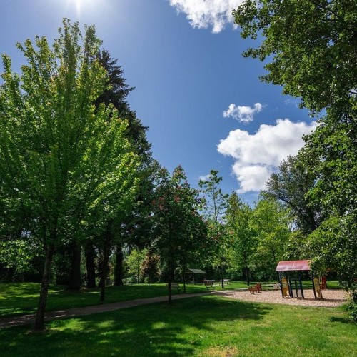 Photo 26 at 217 - 8110 120a Street, Queen Mary Park Surrey, Surrey Photo 26 at 217 - 8110 120a Street, Queen Mary Park Surrey, Surrey