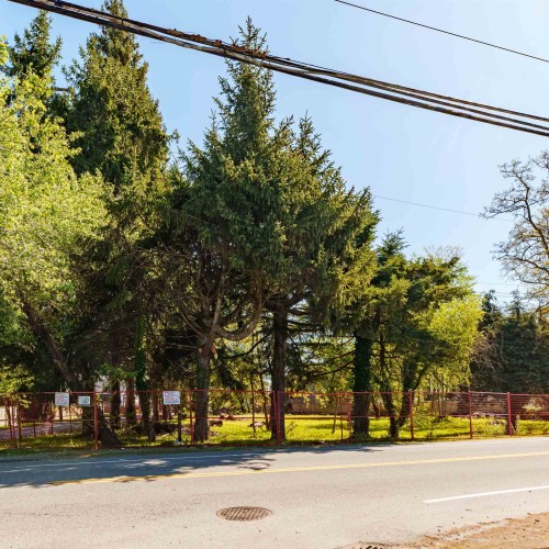 Photo 11 at 13003 Old Yale Road, Whalley, North Surrey Photo 11 at 13003 Old Yale Road, Whalley, North Surrey