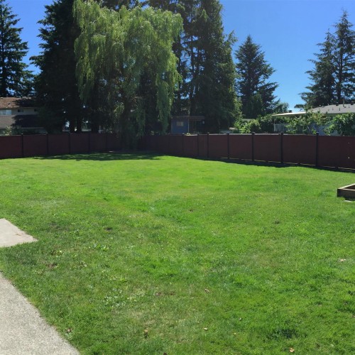 Photo 5 at 10837 145a Street, Bolivar Heights, North Surrey Photo 5 at 10837 145a Street, Bolivar Heights, North Surrey