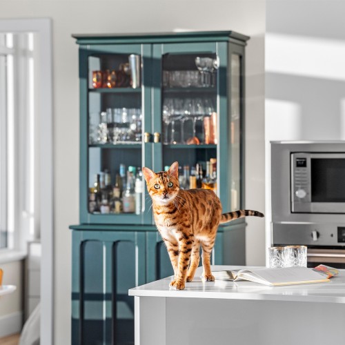 Photo 2 at 3102 - 10428 Whalley Boulevard, Whalley, North Surrey Photo 2 at 3102 - 10428 Whalley Boulevard, Whalley, North Surrey