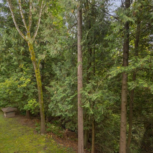 Photo 26 at 208 - 10320 156 Street, Guildford, North Surrey Photo 26 at 208 - 10320 156 Street, Guildford, North Surrey