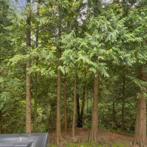 Photo 28 at 208 - 10320 156 Street, Guildford, North Surrey Photo 28 at 208 - 10320 156 Street, Guildford, North Surrey