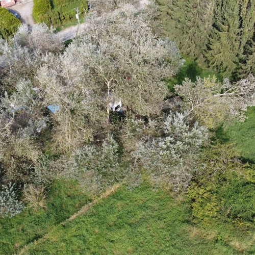 Photo 3 at 16510 50 Avenue, Sullivan Station, Surrey Photo 3 at 16510 50 Avenue, Sullivan Station, Surrey