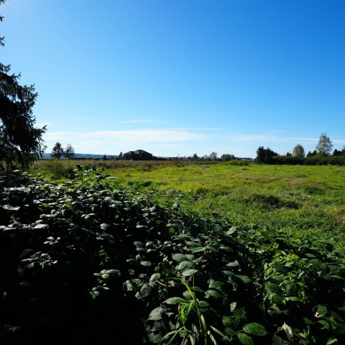 Photo 9 at 16510 50 Avenue, Sullivan Station, Surrey Photo 9 at 16510 50 Avenue, Sullivan Station, Surrey