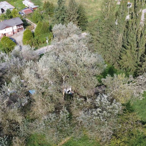 Photo 4 at 16510 50 Avenue, Sullivan Station, Surrey Photo 4 at 16510 50 Avenue, Sullivan Station, Surrey