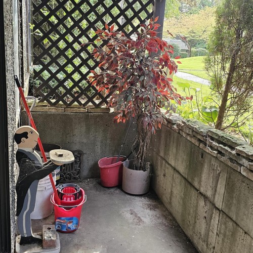 Photo 17 at 117 - 13501 96 Avenue, Queen Mary Park Surrey, Surrey Photo 17 at 117 - 13501 96 Avenue, Queen Mary Park Surrey, Surrey