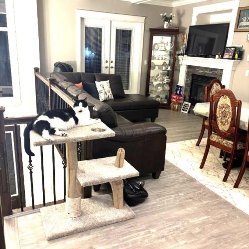 Photo 7 at 11039 132 Street, Whalley, North Surrey Photo 7 at 11039 132 Street, Whalley, North Surrey