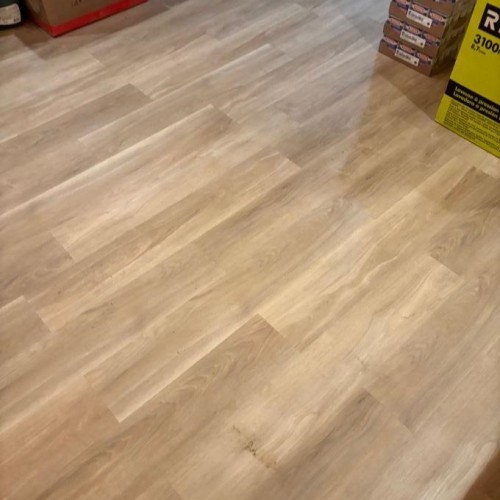 Photo 25 at 11039 132 Street, Whalley, North Surrey Photo 25 at 11039 132 Street, Whalley, North Surrey