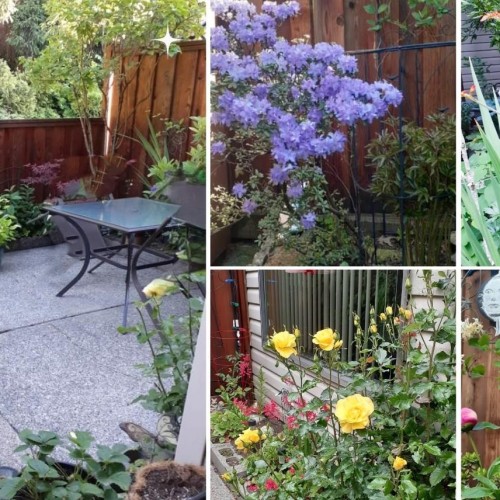 Photo 31 at 139 - 13880 74 Avenue, East Newton, Surrey Photo 31 at 139 - 13880 74 Avenue, East Newton, Surrey