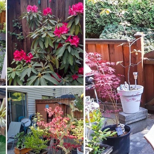 Photo 29 at 139 - 13880 74 Avenue, East Newton, Surrey Photo 29 at 139 - 13880 74 Avenue, East Newton, Surrey