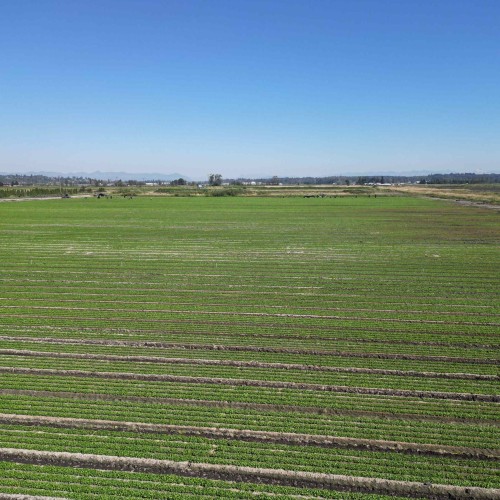 Photo 3 at 4444 168 Street, Serpentine, Cloverdale Photo 3 at 4444 168 Street, Serpentine, Cloverdale