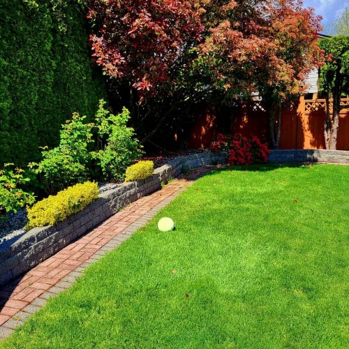 Photo 28 at 6041 186 Street, Cloverdale BC, Cloverdale Photo 28 at 6041 186 Street, Cloverdale BC, Cloverdale