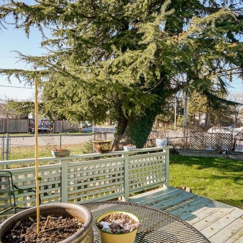 14232-north-bluff-road-white-rock-south-surrey-white-rock-29 at 14232 North Bluff Road, White Rock, South Surrey White Rock 14232-north-bluff-road-white-rock-south-surrey-white-rock-29 at 14232 North Bluff Road, White Rock, South Surrey White Rock